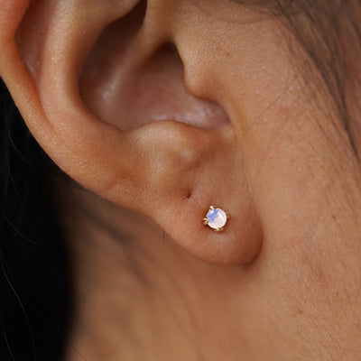 A model's ear wearing a 14k gold Moonstone Earring