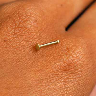 Close up view of a single 14k solid gold Circle Nose Stud resting on the back on a model's hand
