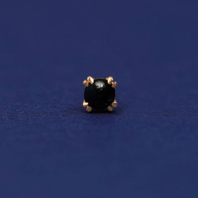 Front facing view of a 14k yellow gold Onyx Flat Back Earring on a dark blue background