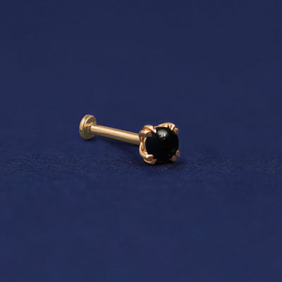 A 14 karat solid gold Onyx Flat Back Earring on a dark blue background