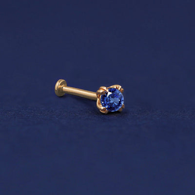 A 14 karat solid gold Sapphire Flat Back Earring on a dark blue background