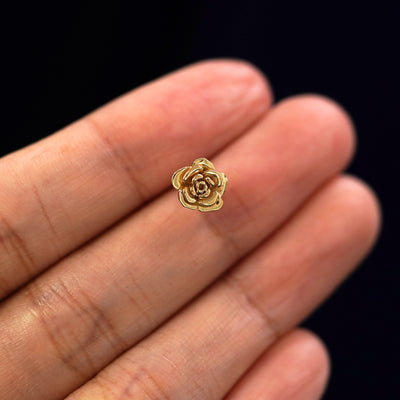 A solid 14k yellow gold Rose Earring in between a model's fingers
