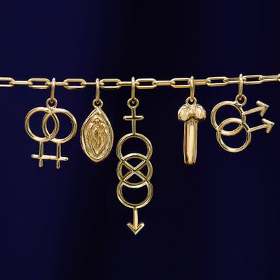 Solid yellow gold Lesbian, Vulva, Bisexual, Penis, and Gay symbol charms on a Butch Chain