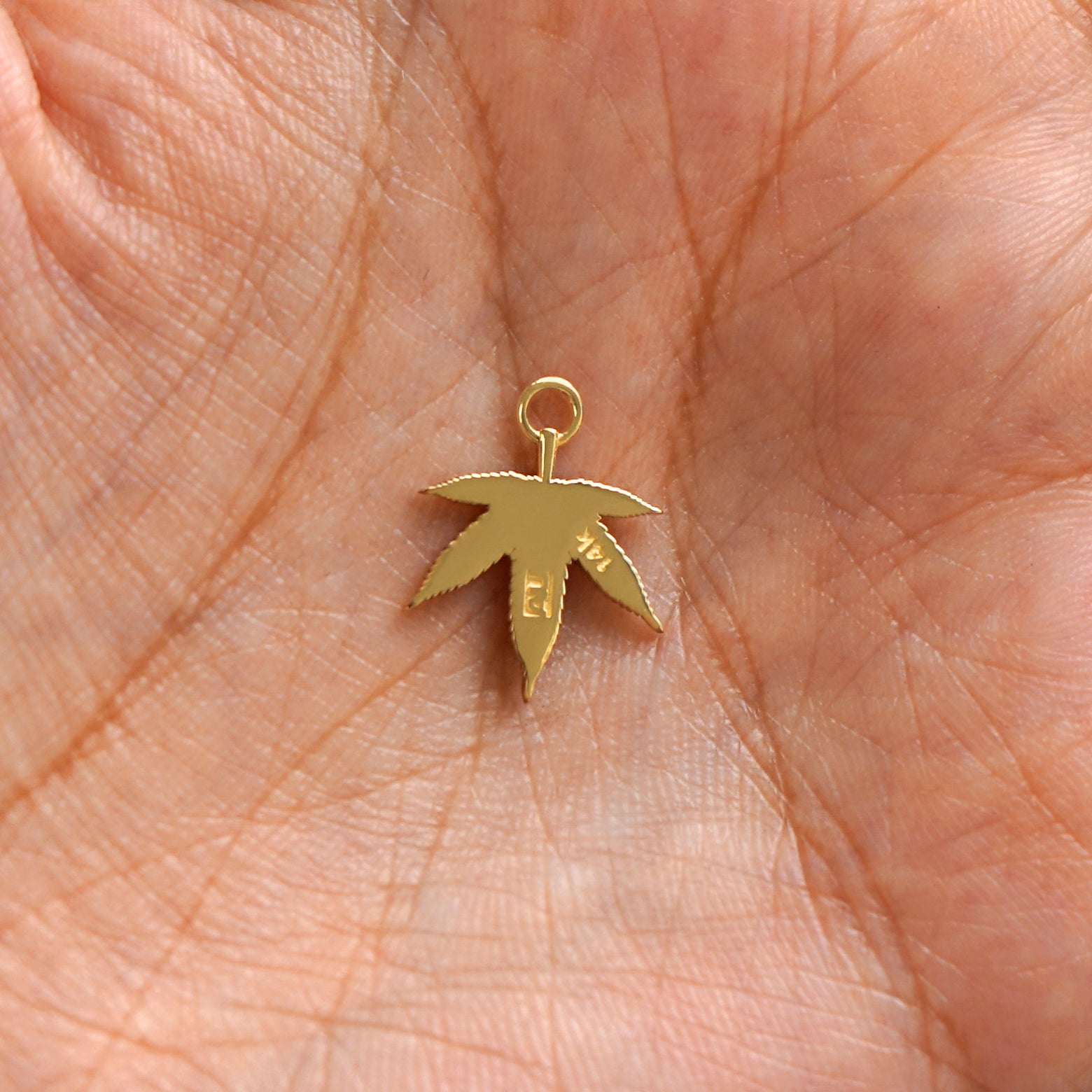 A 14k gold Cannabis Charm for earring resting in a model's palm to show the back of the charm