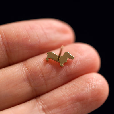 A yellow gold Dog Earring laying facedown on a model's fingers to show the underside view