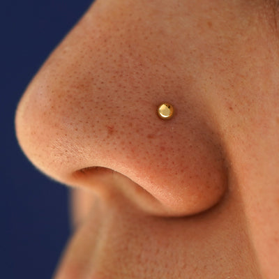 Close up view of a model's nose wearing a solid 14k yellow gold Ball Nose Stud