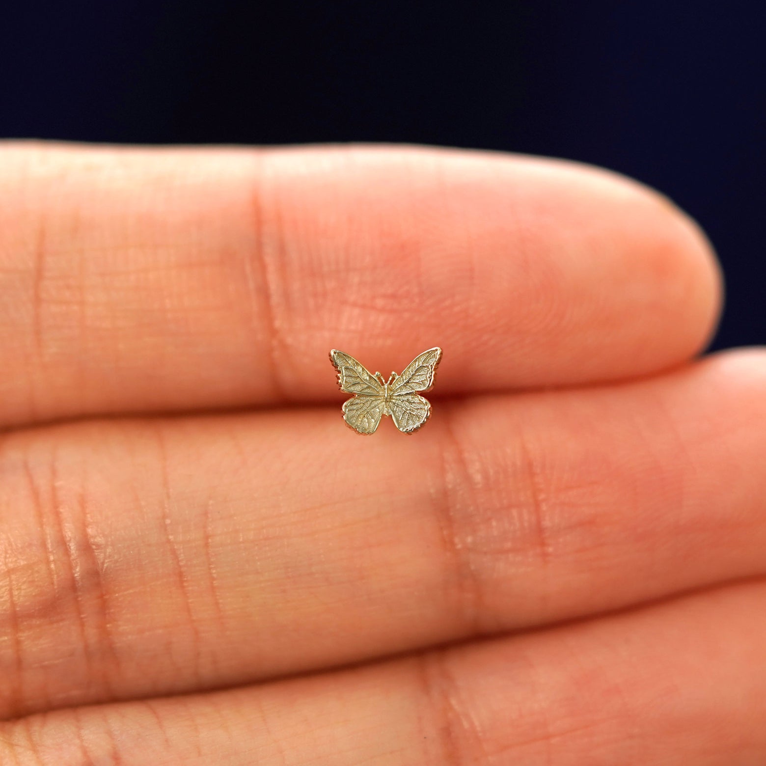 A hand holding a 14k champagne gold mini butterfly stud earring in between their fingers