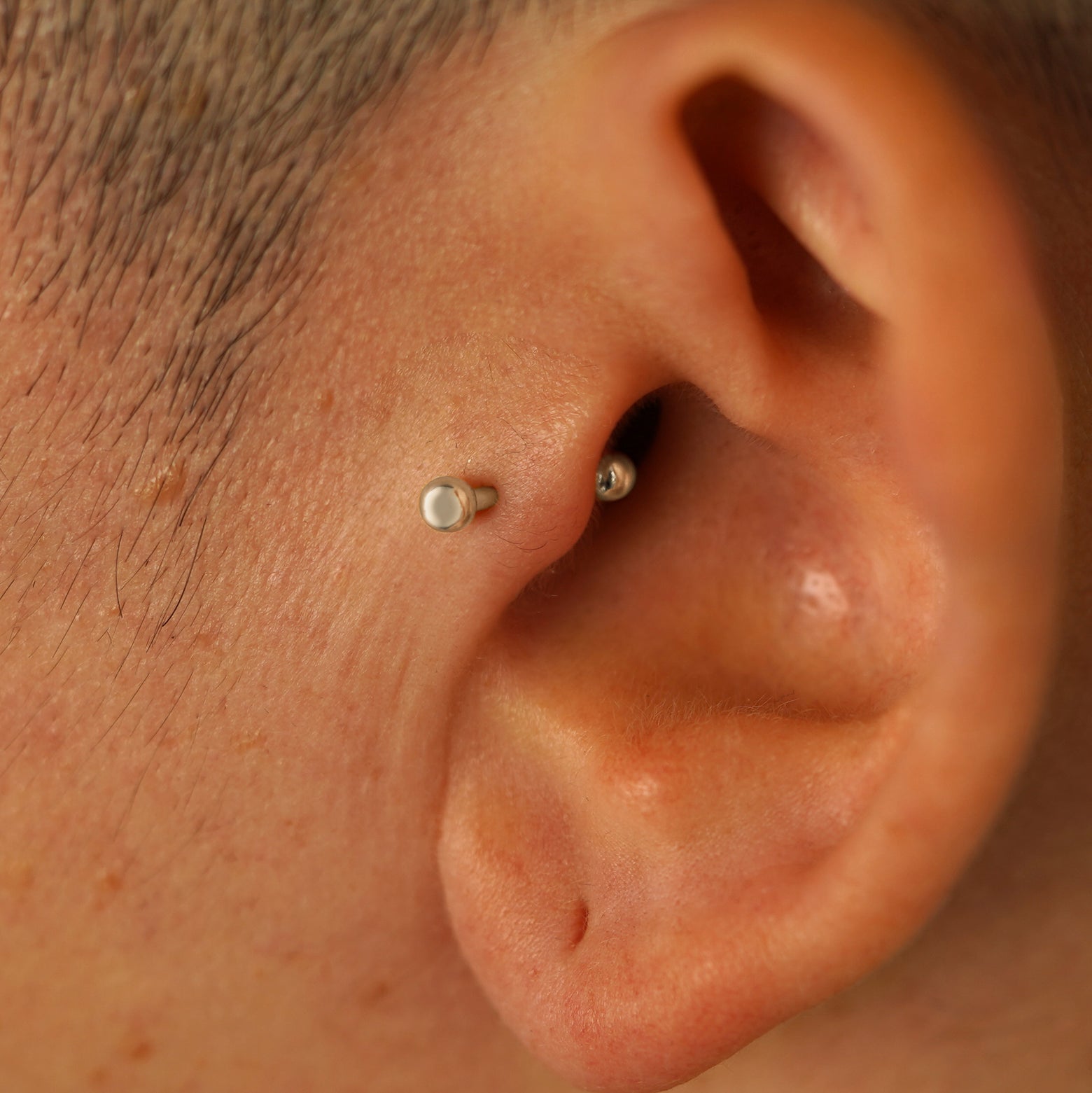 A model's ear wearing a champagne gold Small Straight Barbell in a tragus piercing