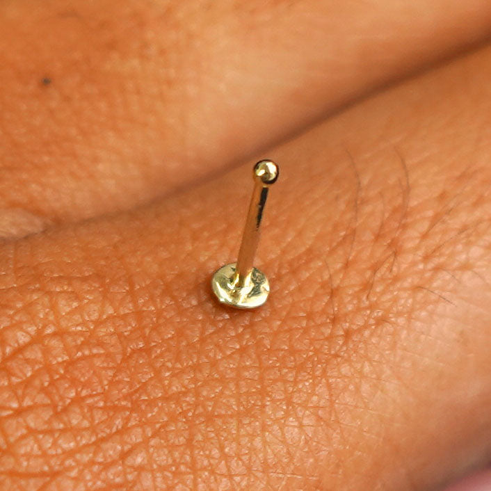 A 14 karat yellow gold Circle Nose Stud standing upright on the back of a model's finger