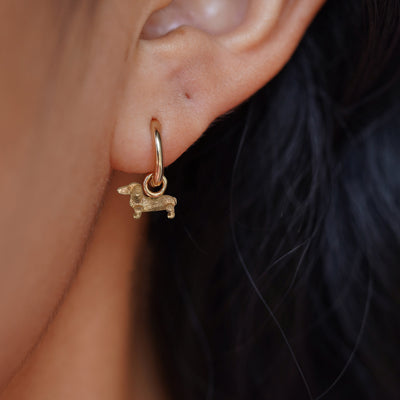 Close up view of a model's ear wearing a yellow gold Dog Charm on Curvy Huggie Earring