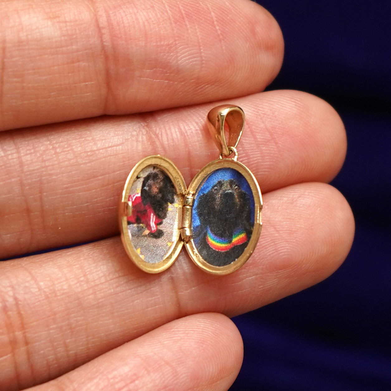 A hand holding a yellow gold Oval Locket that is open to show two photos of Luna the Dachshund