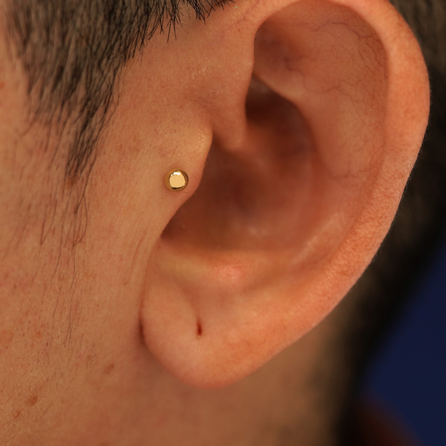 Close up view of a model's ear wearing a 14k yellow gold Medium Ball Flatback as a tragus piercing