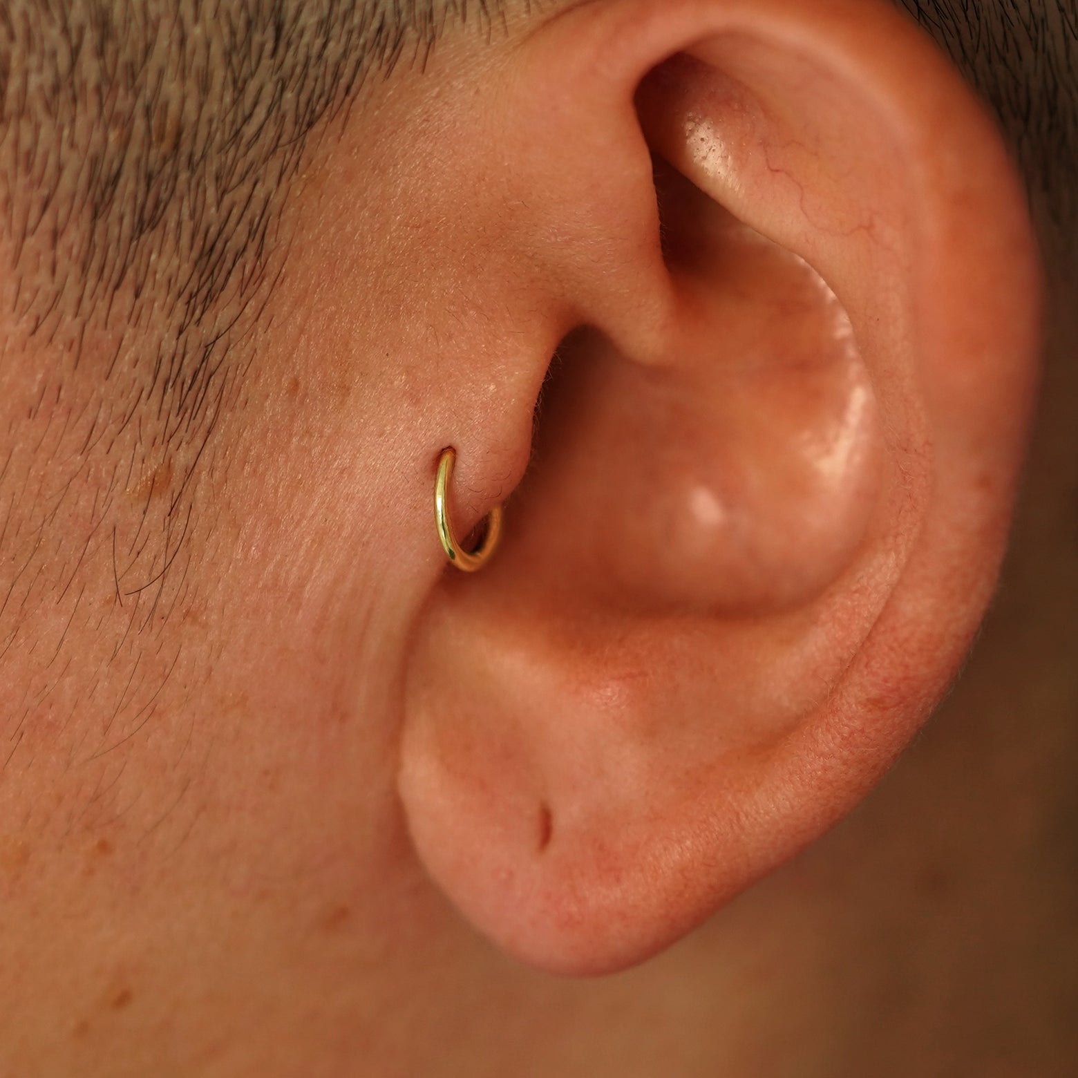 A model's ear wearing a 14k yellow gold Mini Seamless Huggie Hoop in a tragus piercing