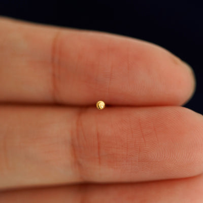 A solid 14k yellow gold Mini Ball Flatback Piercing in between a model's fingers