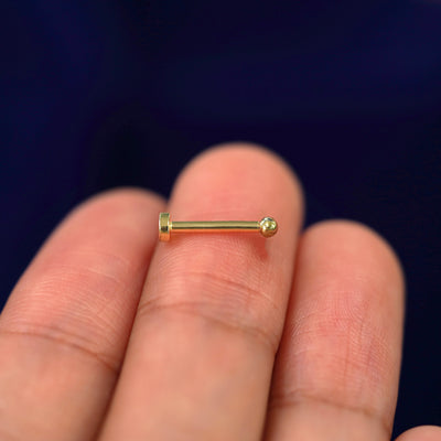 A 14k gold Mini Ball Flatback Piercing sitting sideways on a model's fingertips to show detail