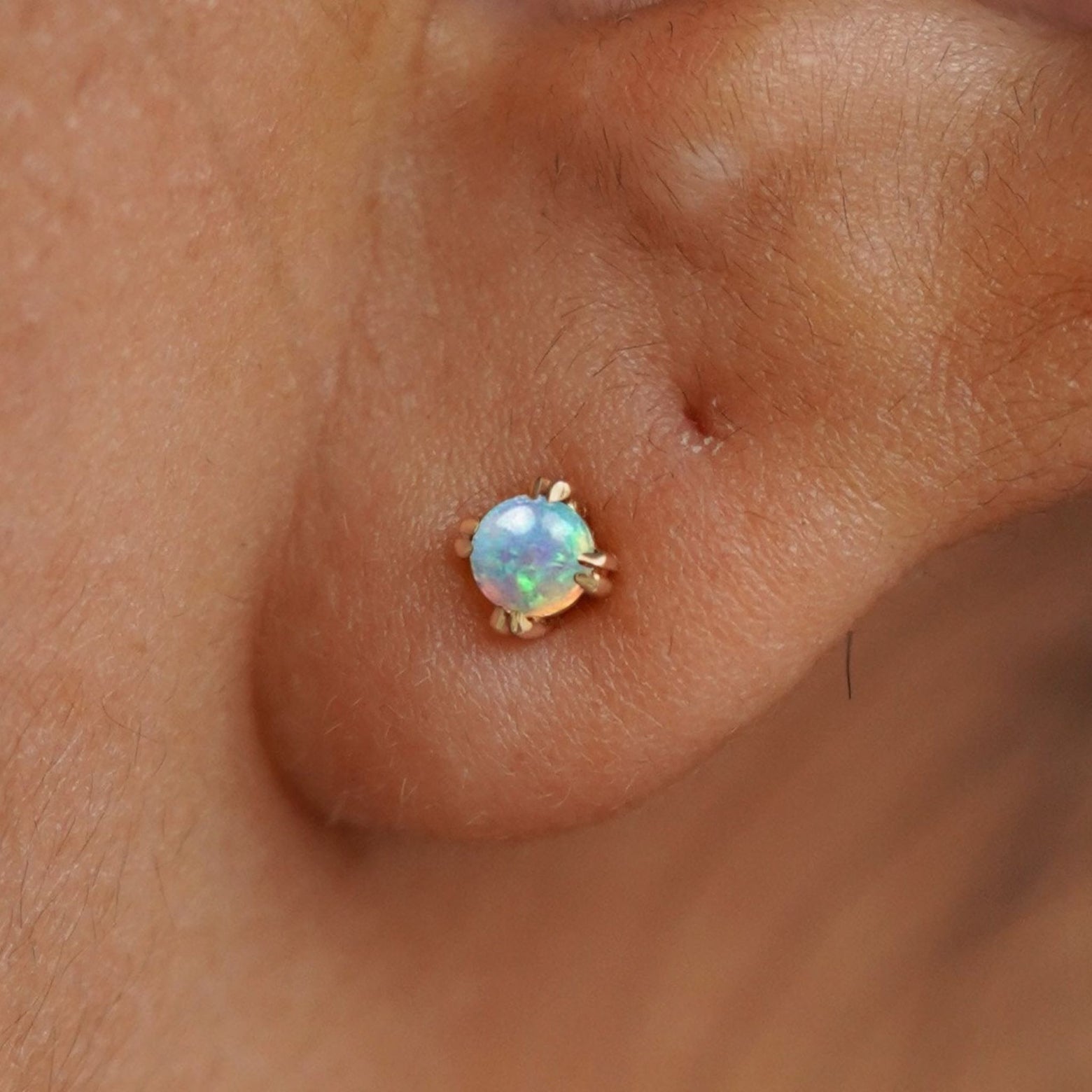 Close up view of a model's ear wearing a 14k yellow gold Opal Earring