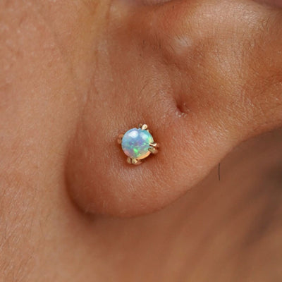 Close up view of a model's ear wearing a 14k yellow gold Opal Earring