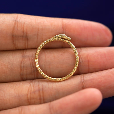 A yellow gold Ouroboros Snake RIng in a model's hand showing the thickness of the band