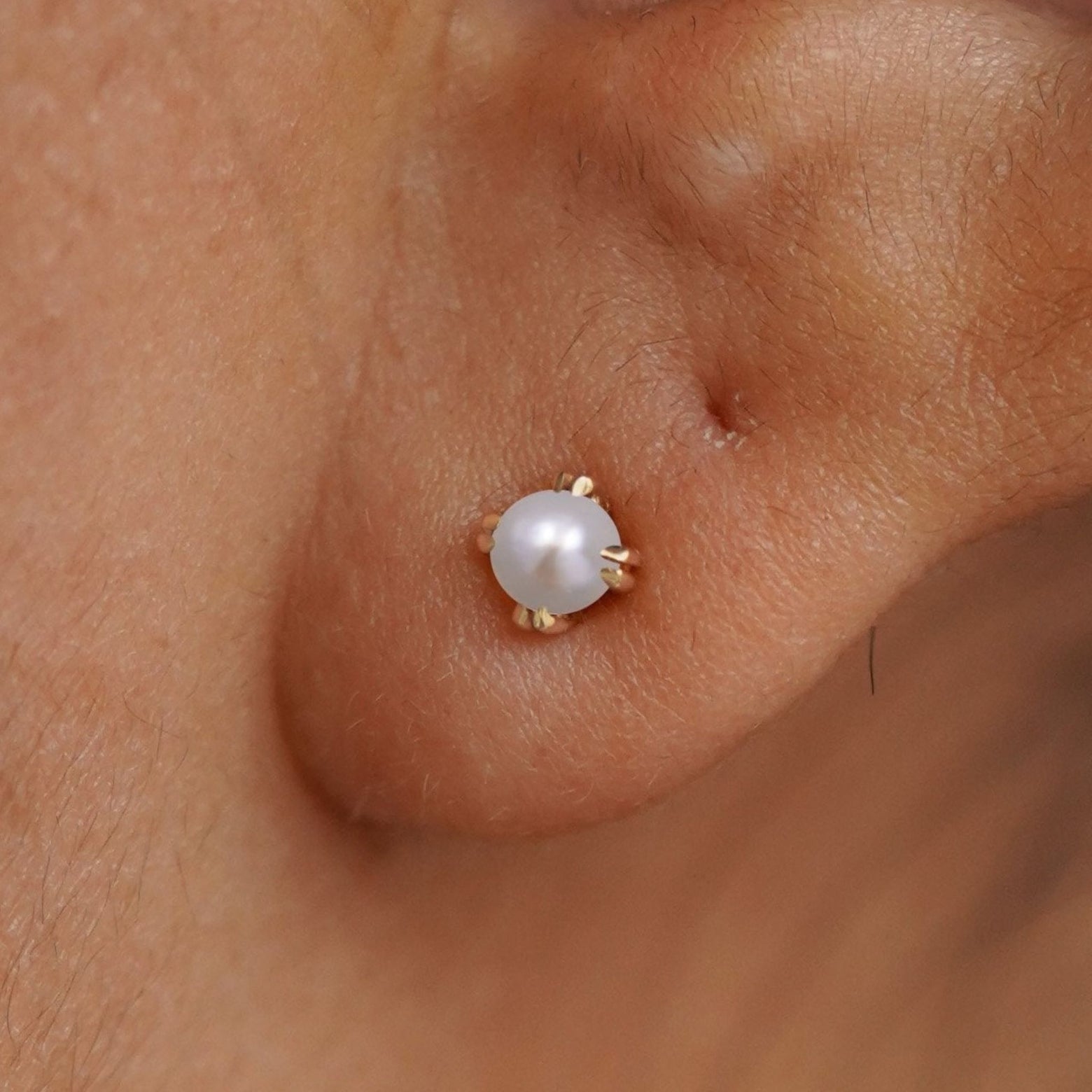 Close up view of a model's ear wearing a 14k yellow gold Pearl Earring