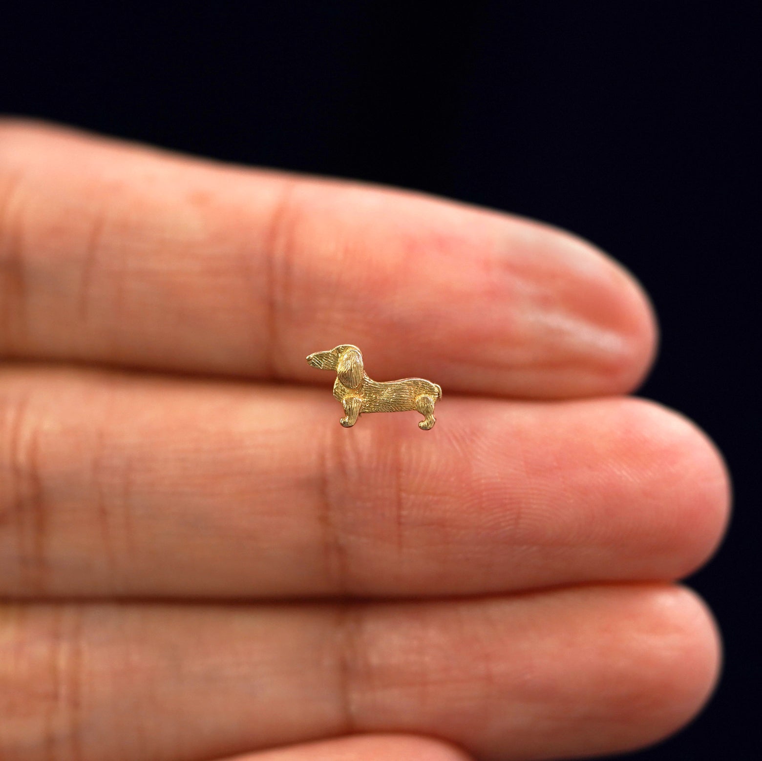 A solid 14k yellow gold Dog Earring in between a model's fingers