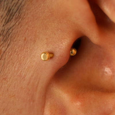 Close up view of a model's ear wearing a yellow gold Small Straight Barbell in a tragus piercing