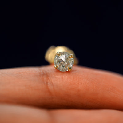 A 14k yellow gold Salt and Pepper Diamond Pressure Lock Earring resting on a model's fingertip