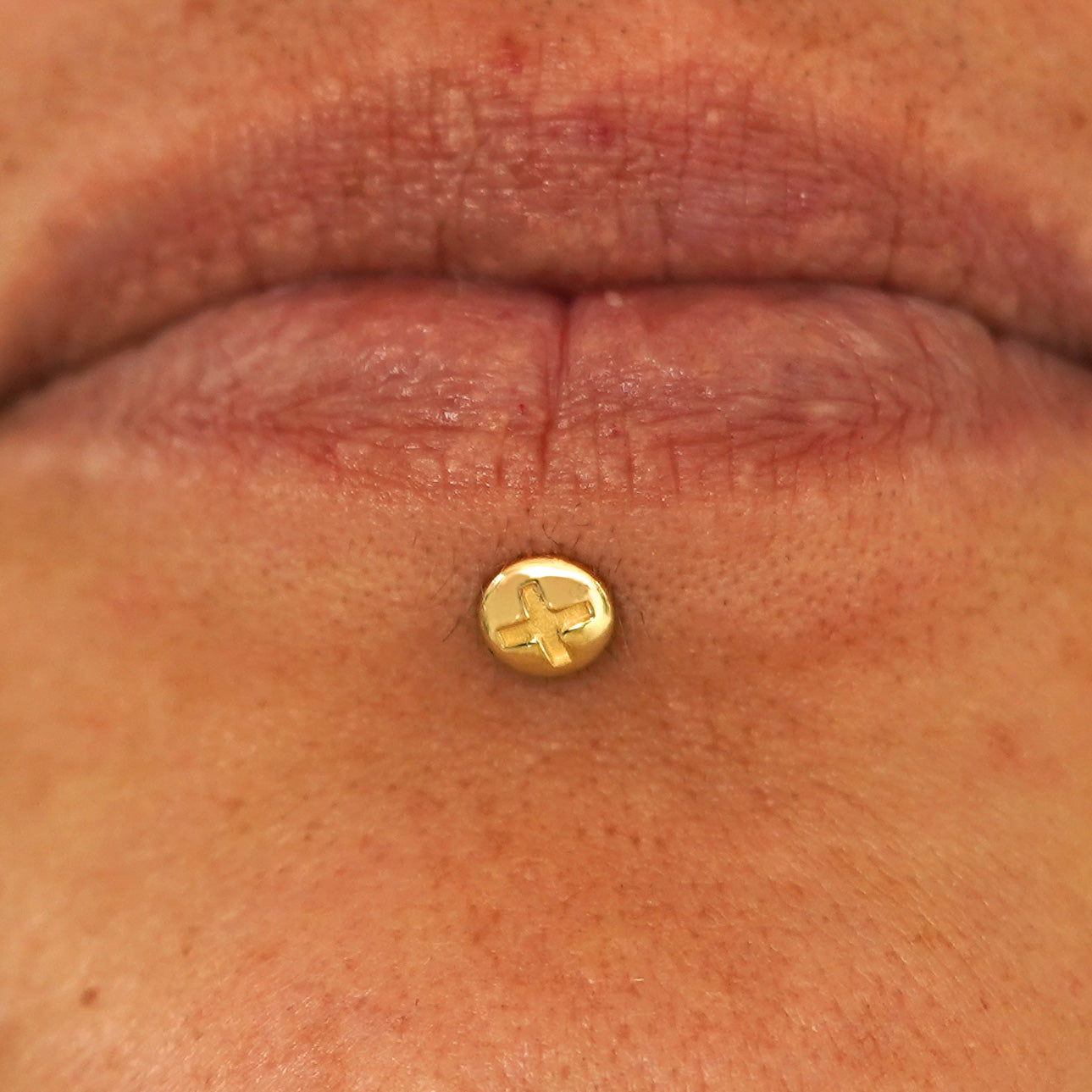 Close up view of a model's lips wearing a 14k yellow gold Screw Flatback in a labret piercing