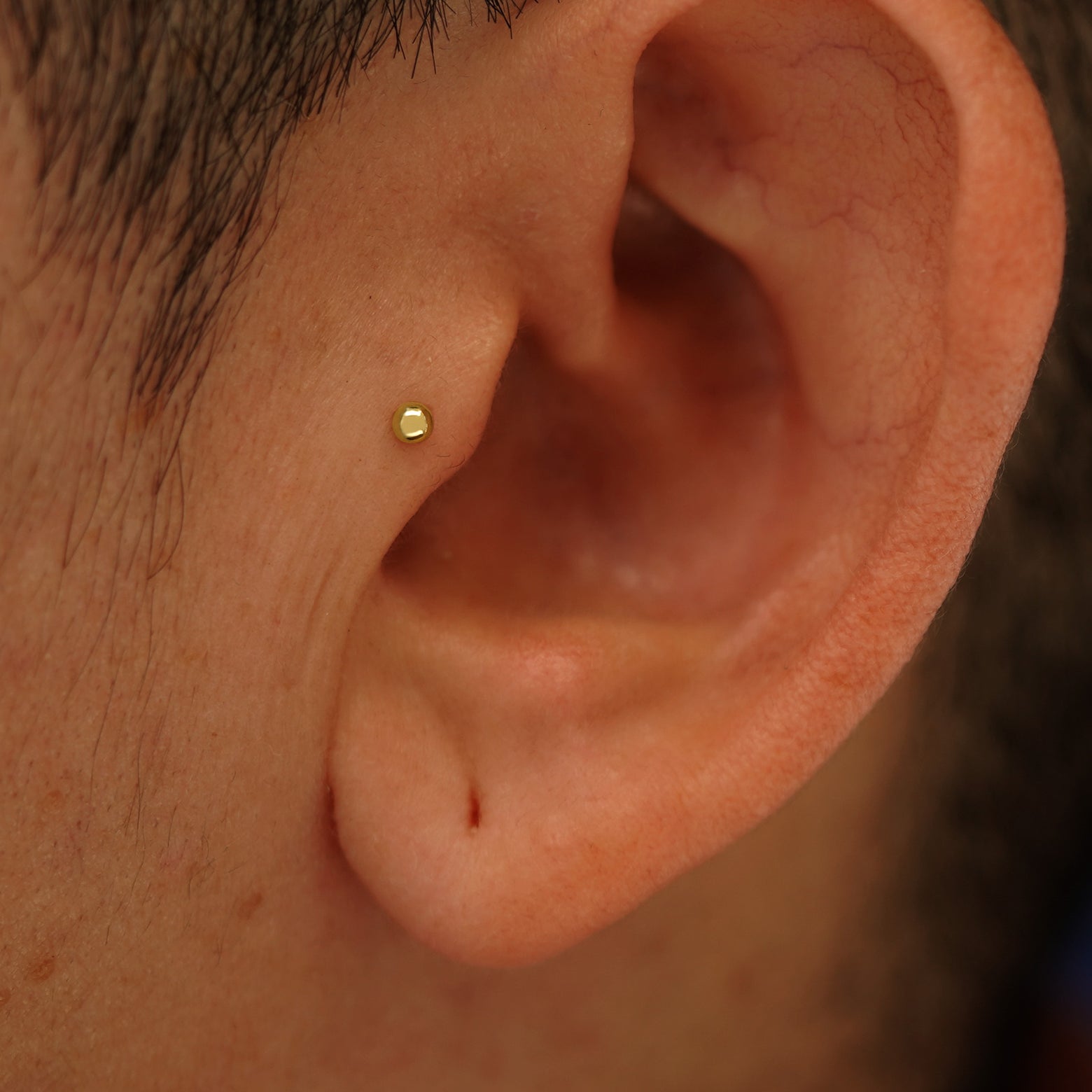 Close up view of a model's ear wearing a 14k yellow gold Small Ball Flatback as a tragus piercing