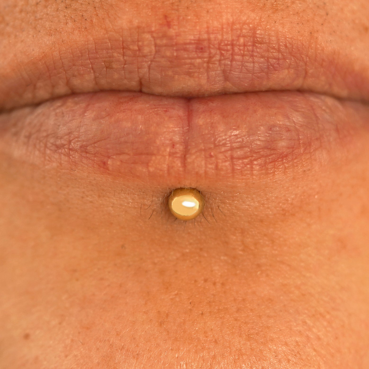 Close up view of a model's lips wearing a 14k yellow gold Small Curved Barbell in a labret piercing