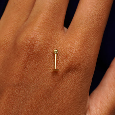A yellow gold small labret piercing resting on the back of a model's hand to indicate size