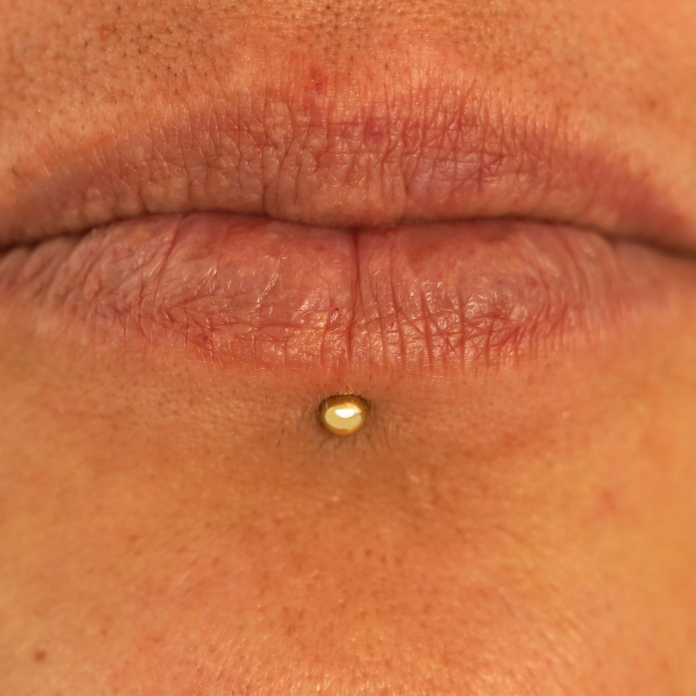 Close up view of a model's lips wearing a 14k yellow gold Small Labret Piercing