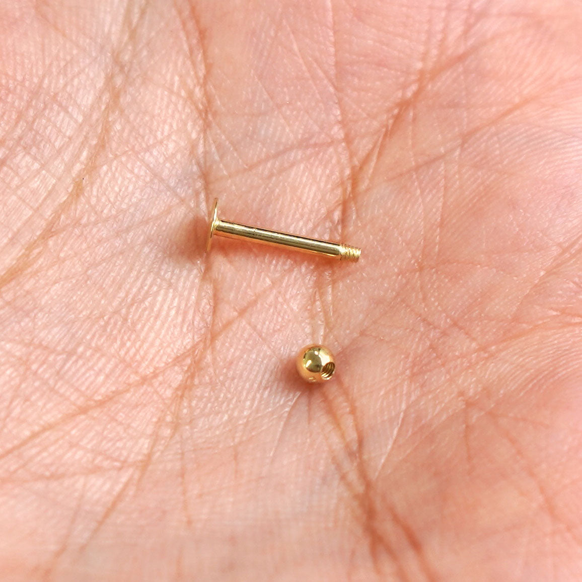 A solid yellow gold Small Labret Piercing with the externally threaded ball closure unscrewed in the palm of a model's hand