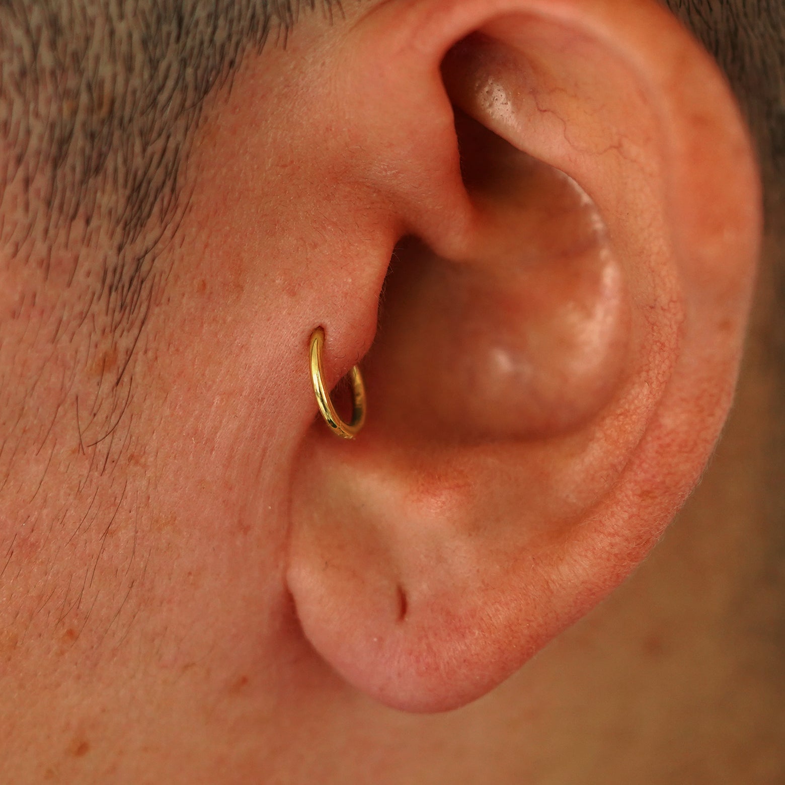 A model's ear wearing a 14k yellow gold Small Seamless Huggie Hoop in a tragus piercing