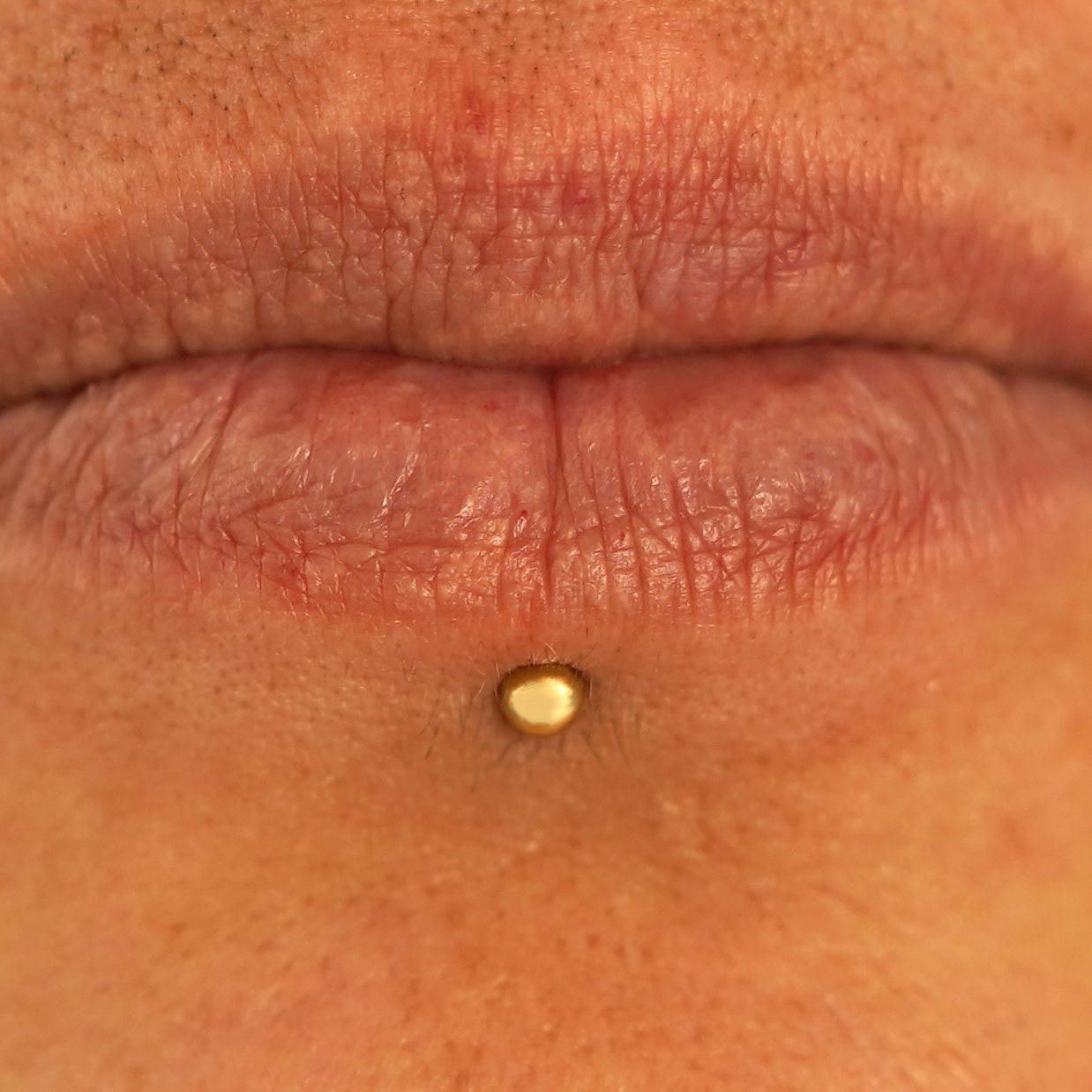 Close up view of a model's lips wearing a 14k yellow gold Small Straight Barbell in a labret piercing