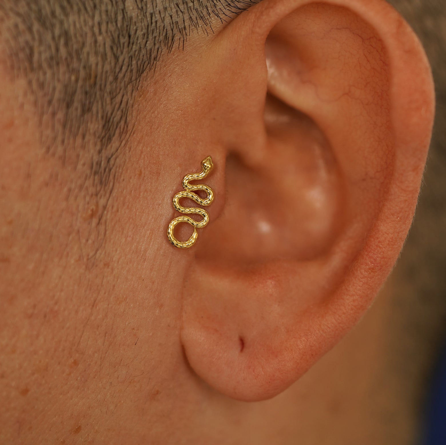 Close up view of a model's ear wearing a yellow gold Snake Flatback in a tragus piercing