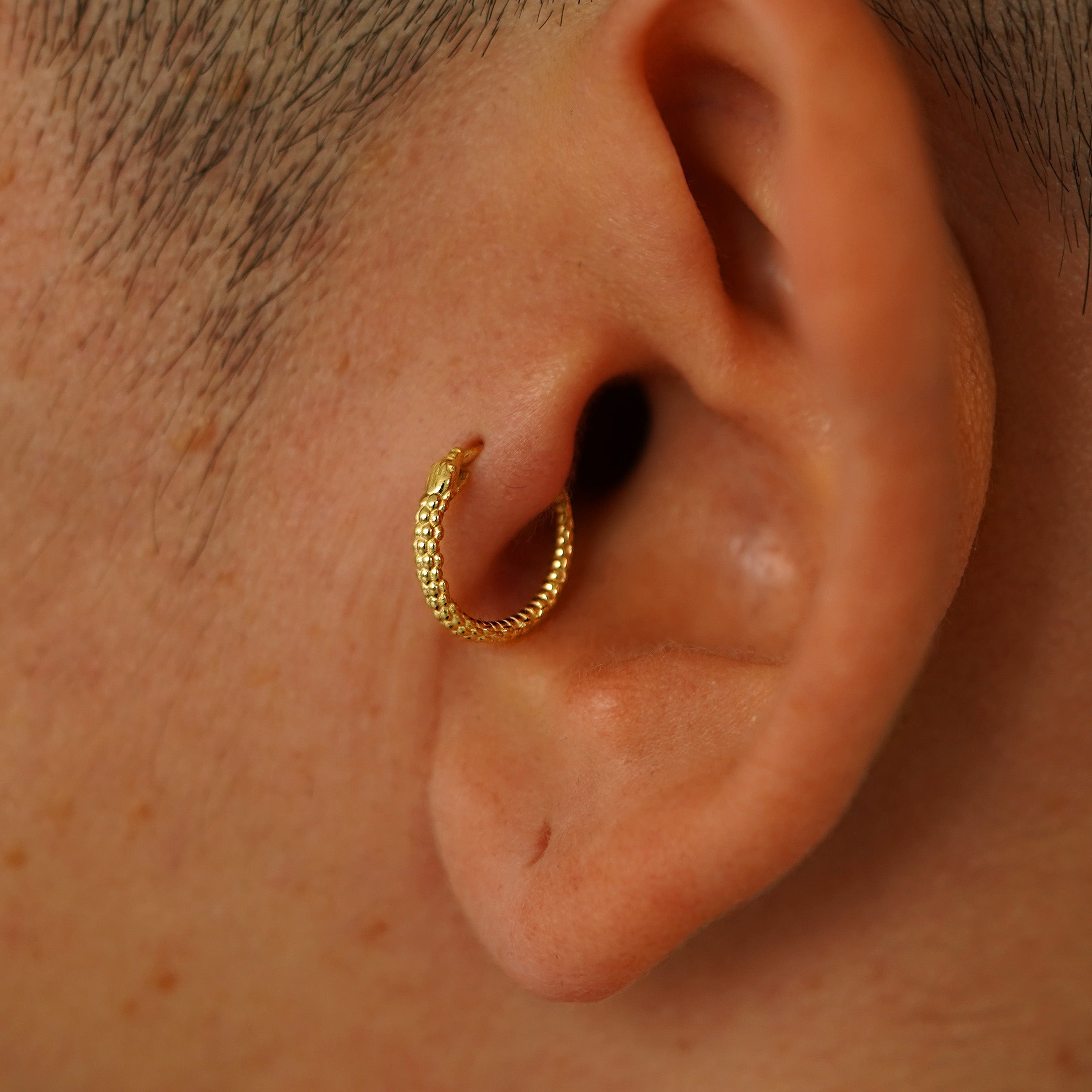 Cartilage Snake ouroboros earrings sterling silver gold plated Snake earrings helix cartilage hoop selling Shipping from USA