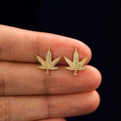 A model's hand holding a pair of recycled 14k gold Cannabis Earrings