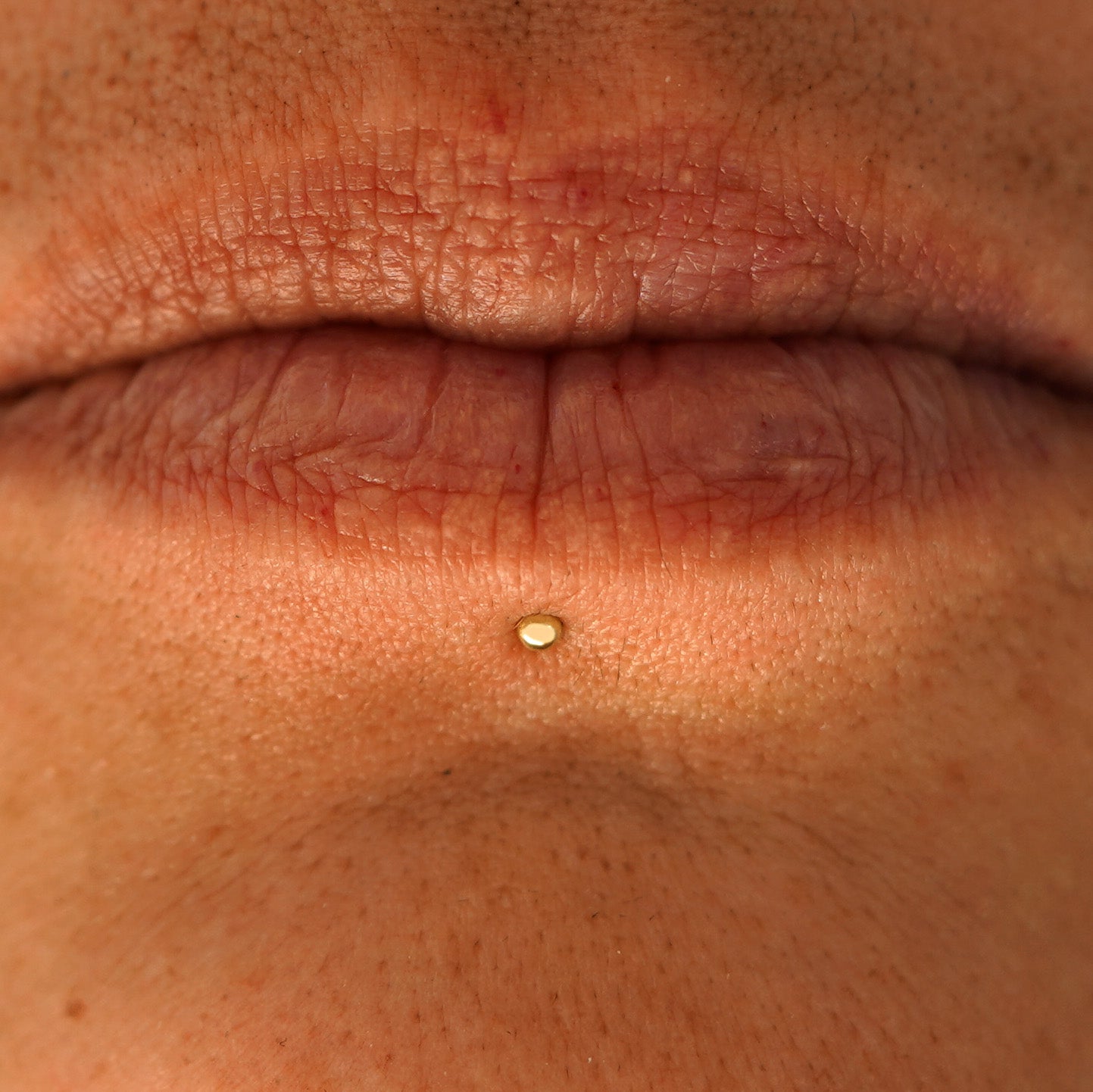 Close up view of a model's mouth wearing a 14k yellow gold Mini Ball Flatback as a labret piercing