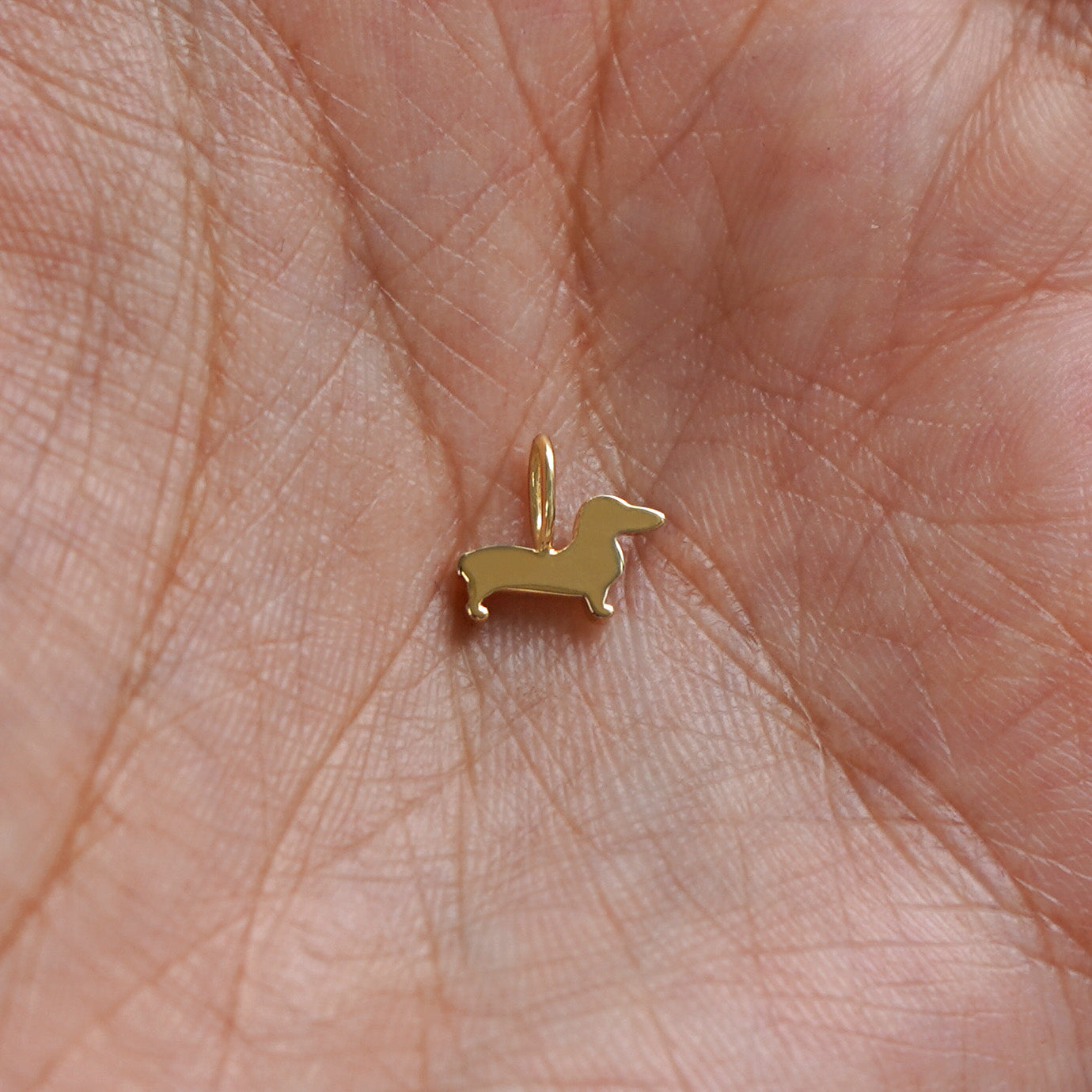 A 14k gold Dog Charm for chain resting in a model's palm to show the back of the charm