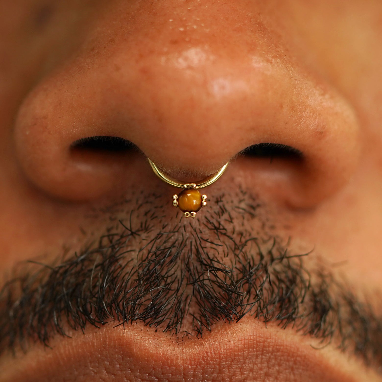 Close up view of a model's face wearing a 14k solid yellow gold tiger eye Gemstone Septum