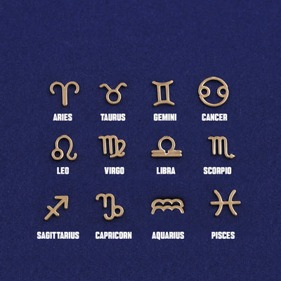 Twelve versions of the Horoscope Bracelet charm showing all of the zodiac symbol options