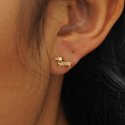 A model's ear wearing a yellow gold wiener Dog  Earring