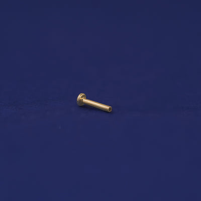 A 14k gold Flatback Piercing Backing on a dark blue background