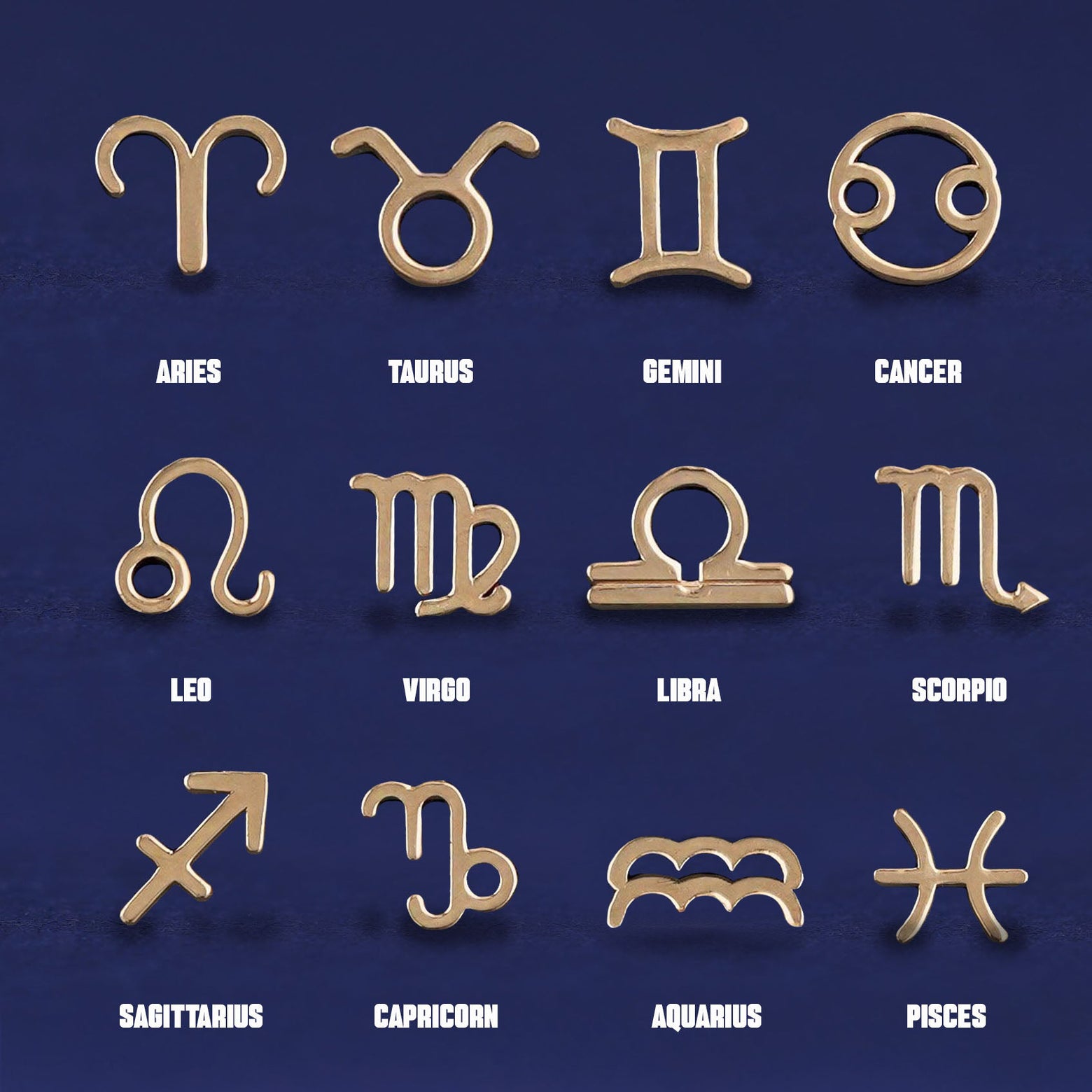 Twelve versions of the Horoscope Flat Back Piercing showing all of the zodiac symbol options