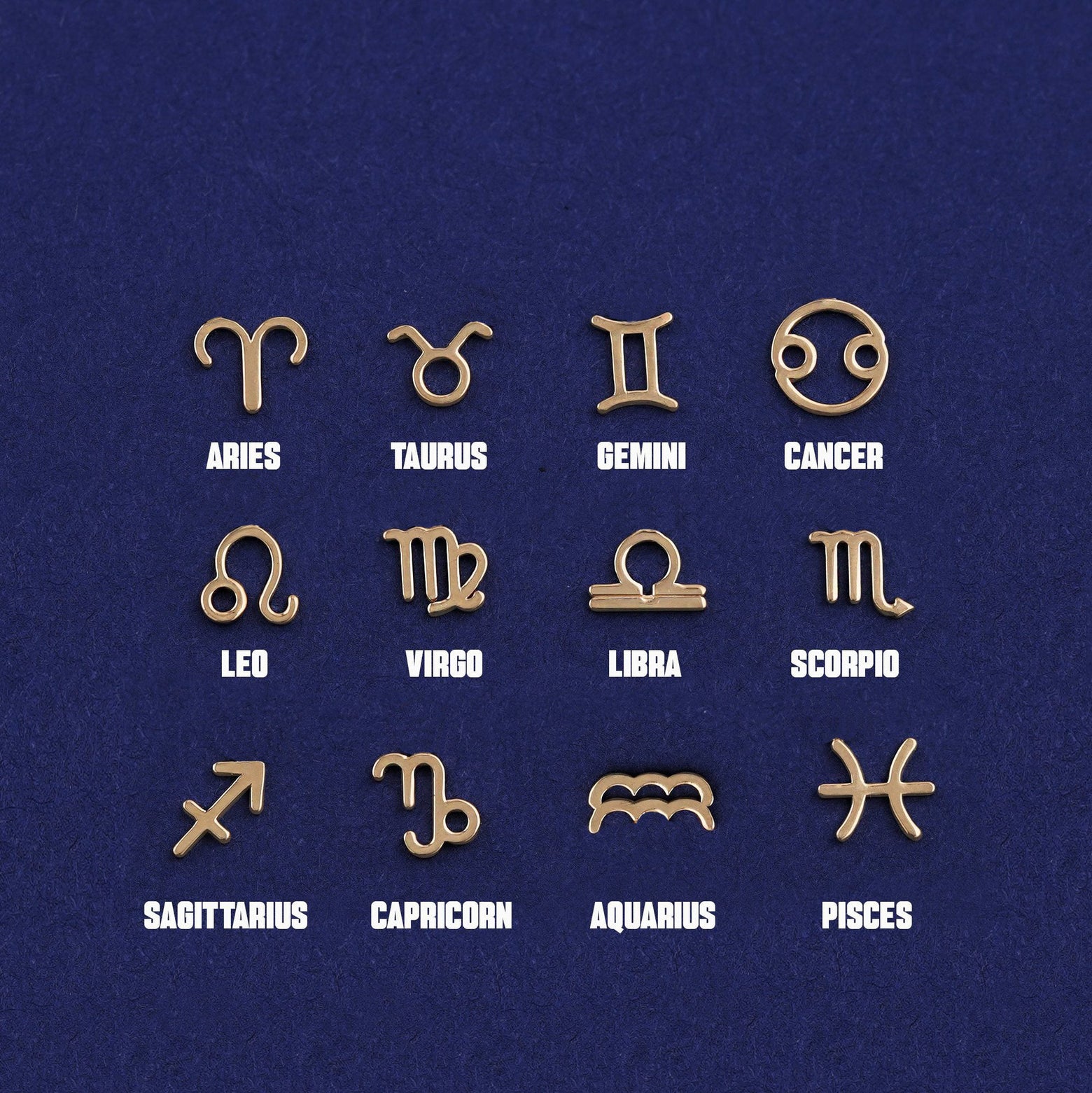 Twelve versions of the Horoscope Cable Necklace Pendant showing all of the zodiac symbol options